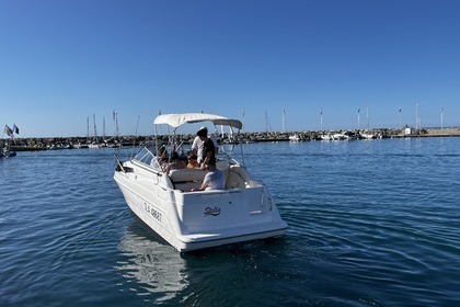 Location Bateau à moteur Bailyner 2355 Cierra sunbridge Fréjus