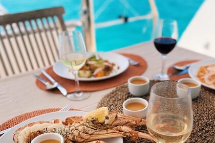 Location Catamaran Bali - Catana Bali 4.5 Simpson Bay