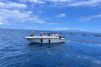 Hire Motorboat LGK MARINE P.Q. NIREUS BOAT NIREUS 4.90 OPTIMA Costa Adeje