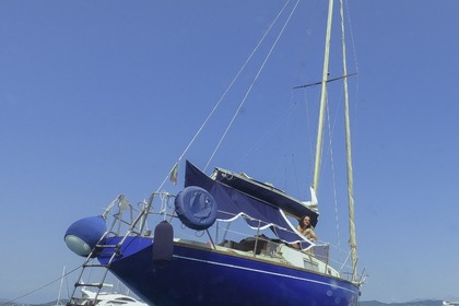 Rental Sailboat Barberis Schnaps La Spezia