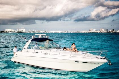 Hire Motor yacht Sea Ray 410 Sundancer Cancún