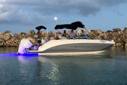 Verhuur Motorboot Sea Ray SDX 26' Playa del Carmen