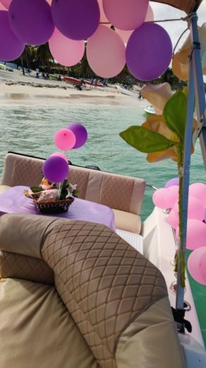 Motorboat Snorkeling and Pool natural Yacht tour boat plan