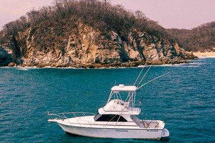 Verhuur Motorboot Cabo 35 Fly Santa María Huatulco