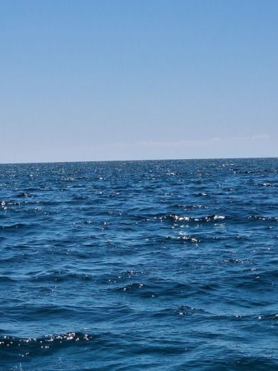 Porto Cesareo Without license Marinello Eden 18 alt tag text