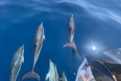 Rental Motorboat Jeanneau MERRY FISCHER 1095 Saint-Tropez