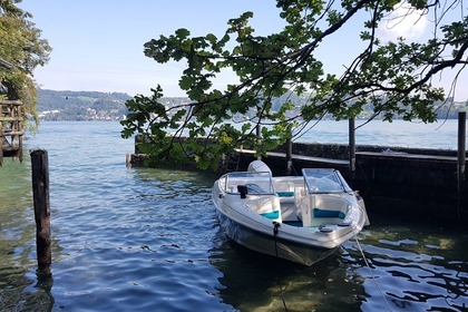 Miete Motorboot Larson SEI 186 Lachen