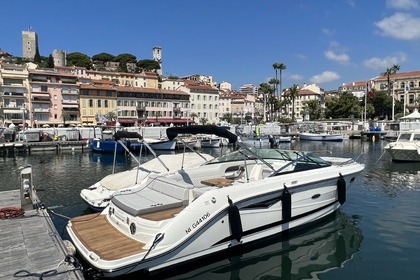 Rental Motorboat SEA RAY 250 SUN SPORT Cannes