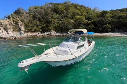 Alquiler Lancha Argos Nautic 2500 Santa María Huatulco