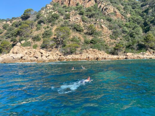 Сан-Фелиу-де-Гишольс Motorboat Gobbi Gobbi 315 alt tag text