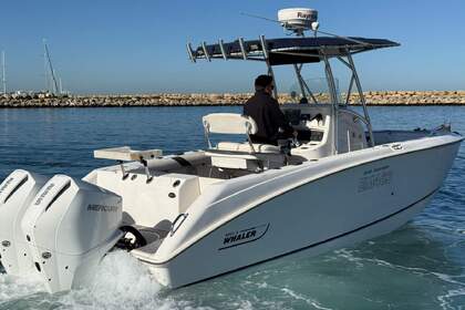 Чартер Моторная яхта Boston Whaler 240 outrage Корфу