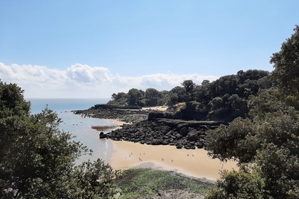 Miete Motorboot Quicksilver weekend Fouras