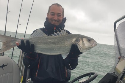 Hire RIB Sillinger Silverline Dunkirk