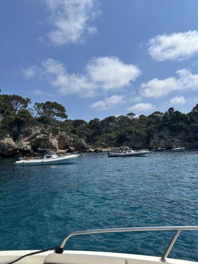 Κάννες Motorboat Quicksilver 755 Sundeck alt tag text