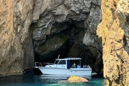 Rental Motorboat Eventboat 780 Dubrovnik
