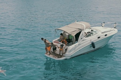 Rental Motorboat Sea Ray Sundancer 315 Nettuno