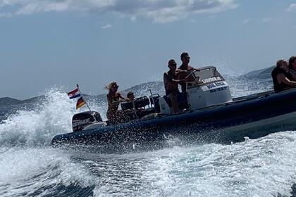 Charter RIB Hydrosport 828 Betina