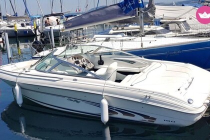 Miete Motorboot Sea Ray 190 Bow Rider Bielersee