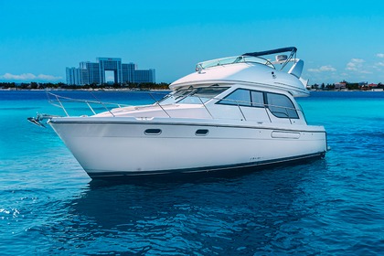Charter Motorboat Bayliner 40 Cancún
