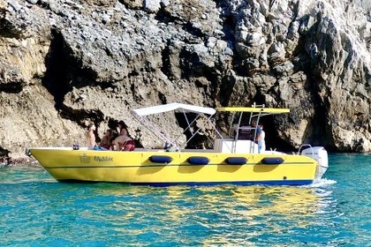 Rental Motorboat cantiere F.M. di Morri Davide e Morri Giorgio srl FM 41 La Spezia