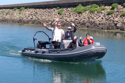 Hire RIB 3d Tender Xpro 535 Île d'Yeu