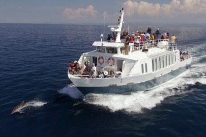 Miete Motorboot Croix du Sud V vedette à passagers Sanary-sur-Mer
