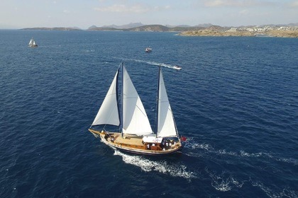 Rental Gulet bodrum 2014 Bodrum