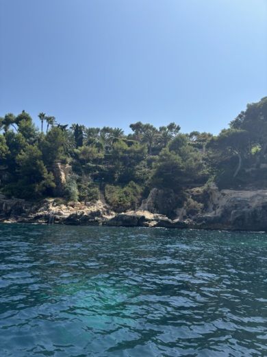 Пальма Motorboat Idea Marine Idea 58 alt tag text