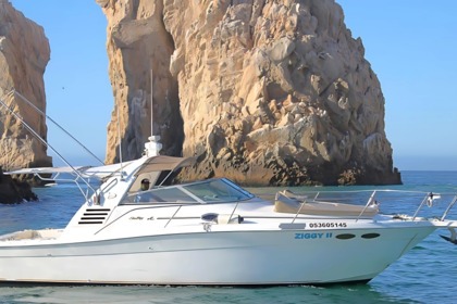 Rental Motorboat Infinity 36 Cabo San Lucas