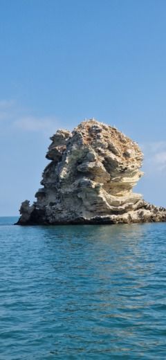 Vieste Without license Gruppo Mare idea 58 open alt tag text