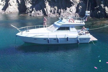 Hire Motorboat Ferretti 36'  Sunset Fly-Bridge Cannes