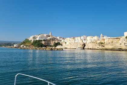 Charter Motorboat Speedy Cayman 585 Vieste