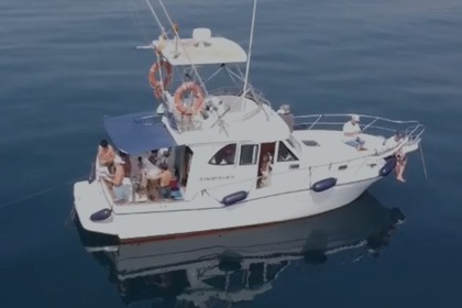 Rental Motorboat Starfisher STARFISHER 10.60 FISHER Estepona