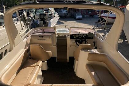 Miete Motorboot Real 29 Jurerê