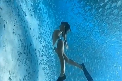 Aluguel Lancha Fairline Corniche 31 Antibes