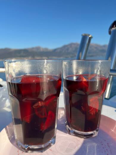 Tivat Motorboat Jeanneau Merry fisher 895 alt tag text