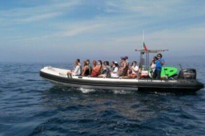 Hire Motorboat Bwa 850 Tróia Peninsula