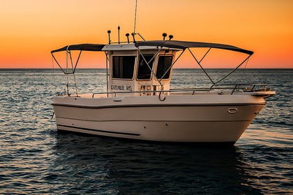 Charter Motorboat Triakis c30 Pula