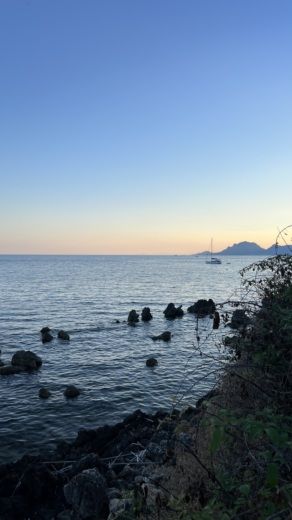 Κάννες Motorboat Quicksilver Activ 755 Sundeck alt tag text