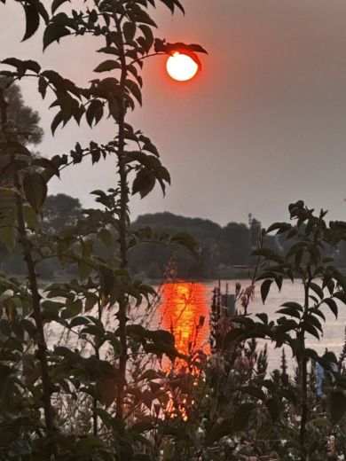 Kreuzlingen RIB Brig Eagle 6.7 E alt tag text