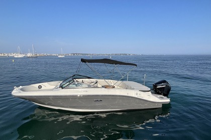 Miete Motorboot Sea Ray SPX 210 Cannes