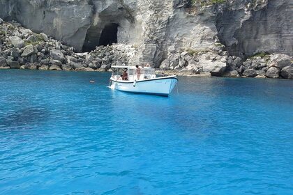 Rental Motorboat Gozzo Siciliano 8.5 mt Favignana
