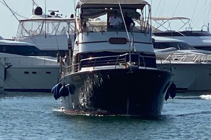 Miete Motorboot SEA RANGER 47 Marina di Scarlino