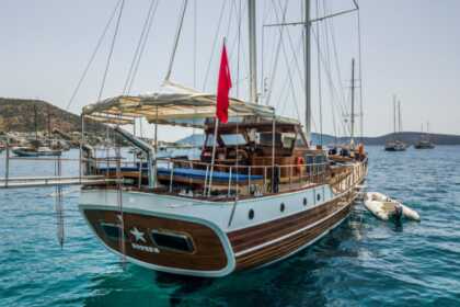 Hire Gulet gulet 2007 HLL Bodrum