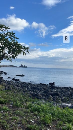 Motorboat Regal Commodore 258 Boot Grundriss