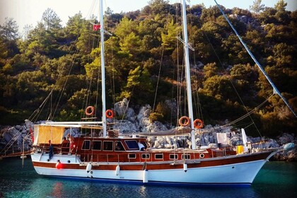 Charter Gulet Up to Date 2003 - 2019 Bodrum