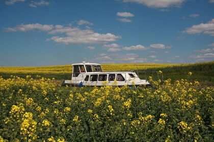 Czarter Houseboat River Cruiser 39 Elbląg