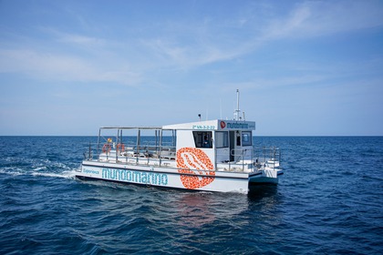 Verhuur Motorboot mundo marino modelo 50 Valencia