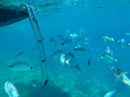 Porto-Vecchio Motorboat Rand Leisure 28 alt tag text