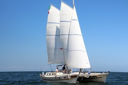 Charter Catamaran LWB Wharram Tiki 38 La Spezia